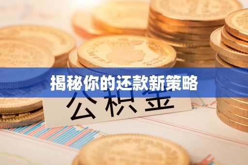长治揭秘你的还款新策略