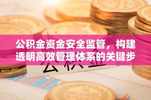 长治公积金资金安全监管，构建透明高效管理体系的关键步骤